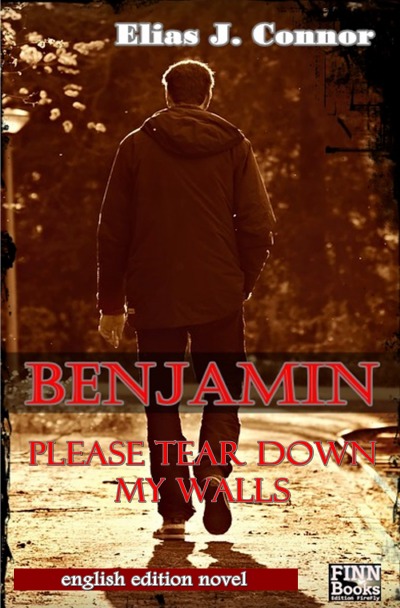 'Cover von Benjamin – Please tear down my walls'-Cover