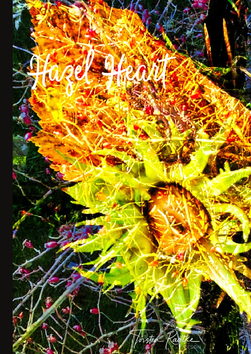 Hazel Heart von Torsten Radtke - Buch - epubli