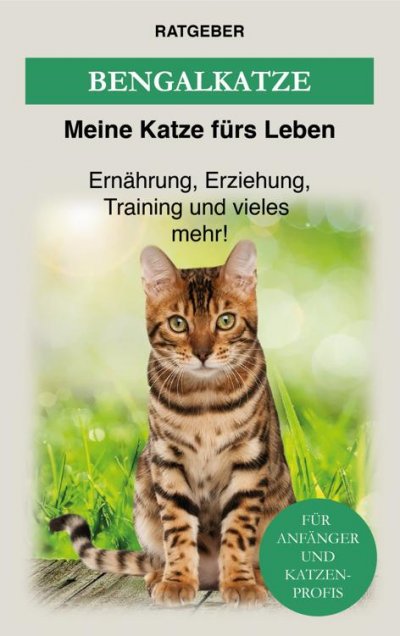 'Cover von Bengalkatze'-Cover