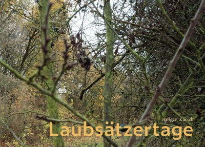 'Cover von Laubsätzertage'-Cover