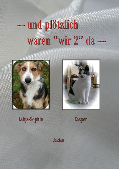 'Cover von und plötzlich waren „wir“ da'-Cover