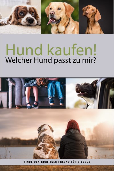 'Cover von Hund kaufen aber welcher Hund passt zu mir?'-Cover