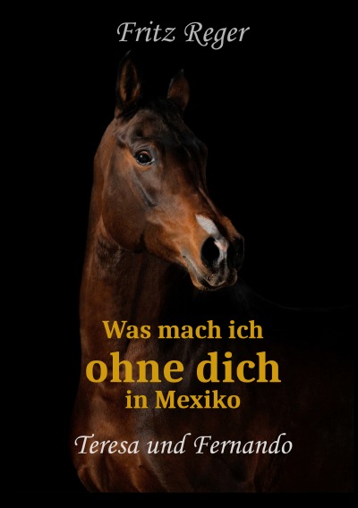 'Cover von Was mach ich ohne Dich in Mexiko'-Cover