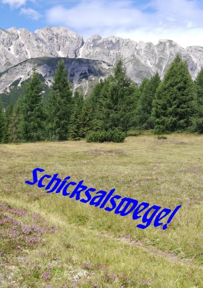 'Cover von Schicksalswege'-Cover