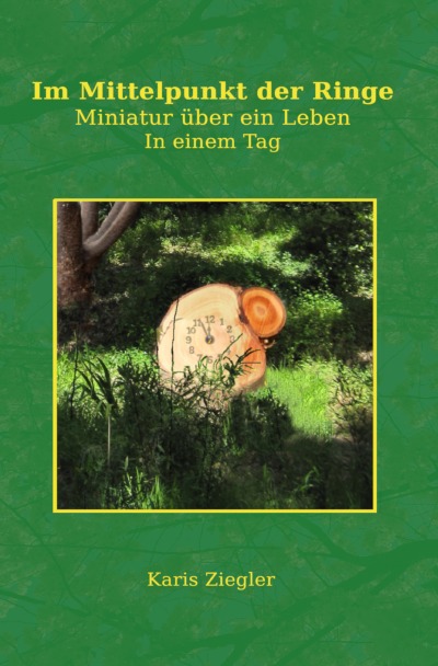 'Cover von Im Mittelpunkt der Ringe'-Cover