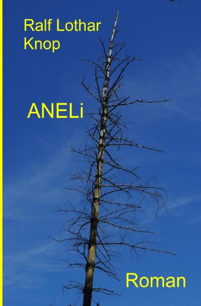 'Cover von ANELi'-Cover