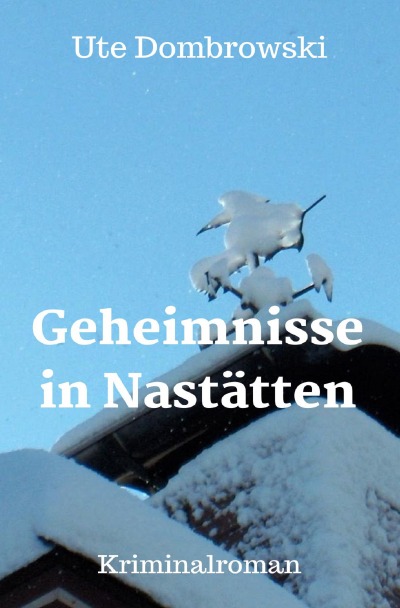 'Cover von Geheimnisse in Nastätten'-Cover