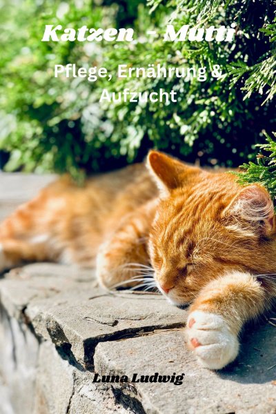 'Cover von Katzen Mutti Pflege, Ernährung & Zucht'-Cover