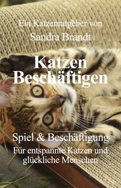 'Cover von Katzen Beschäftigen'-Cover