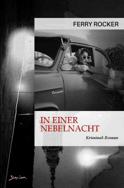 'Cover von In einer Nebelnacht'-Cover