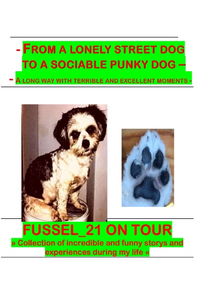 'Cover von From a lonely street dog to a sociable punky dog'-Cover