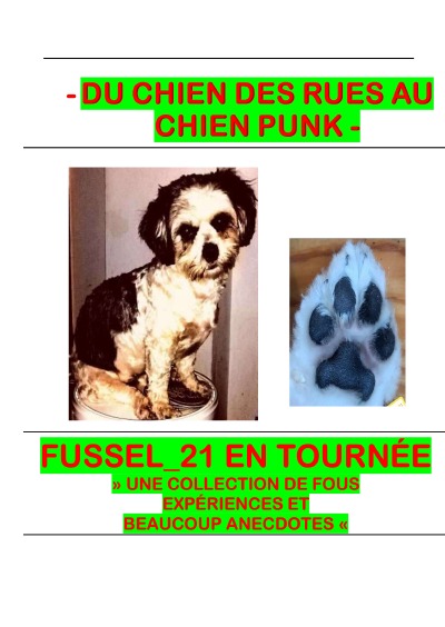 'Cover von Du chien des rues au chien punk'-Cover