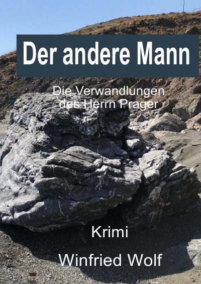 'Cover von Der andere Mann'-Cover