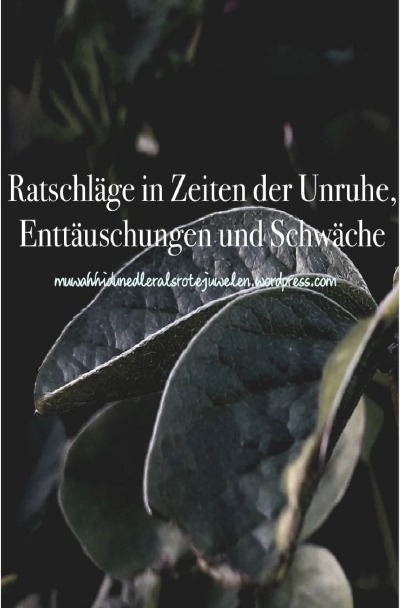 'Cover von Ratschläge für jeden, der nach Rat sucht'-Cover