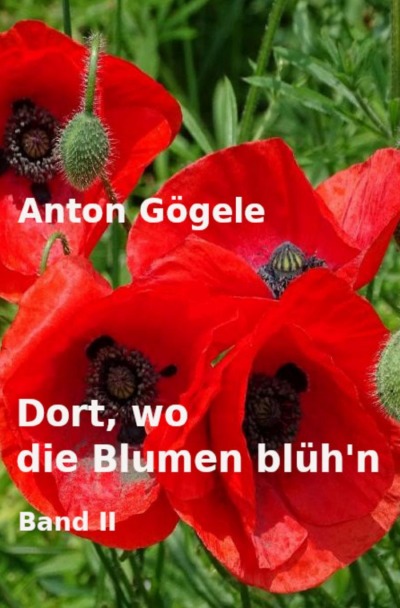 'Cover von Dort, wo die Blumen blüh’n Band II'-Cover