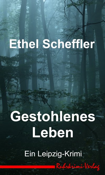 'Cover von Gestohlenes Leben'-Cover