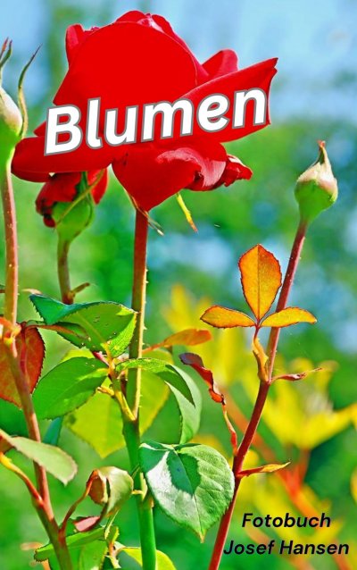 'Cover von Blumen'-Cover