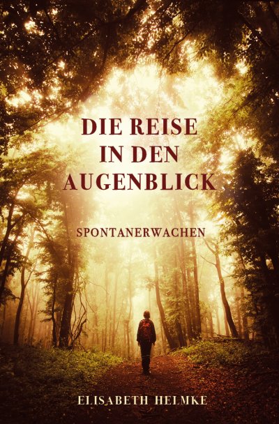 'Cover von Die Reise in den Augenblick'-Cover