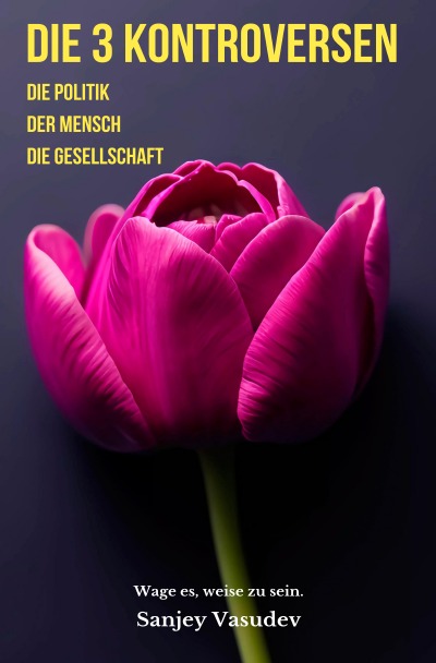 'Cover von Die 3 Kontroversen'-Cover