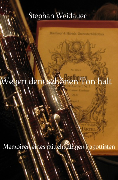 'Cover von Wegen dem schönen Ton halt'-Cover