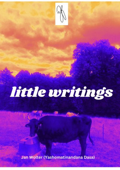 'Cover von little writings'-Cover