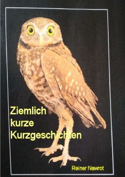 'Cover von Ziemlich kurze Kurzgeschichten'-Cover