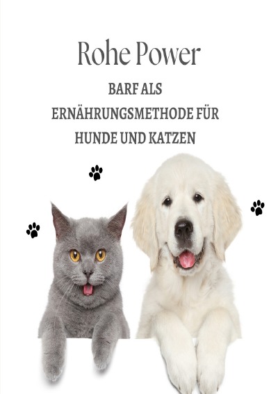 'Cover von Rohe Power'-Cover