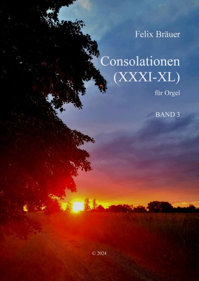 'Cover von Consolationen XXXI-XL'-Cover