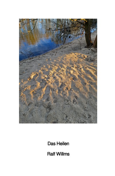 'Cover von Das Heilen'-Cover