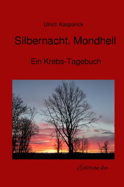 'Cover von Silbernacht. Mondhell.'-Cover