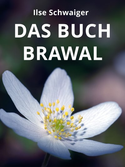 'Cover von Das Buch Brawal'-Cover