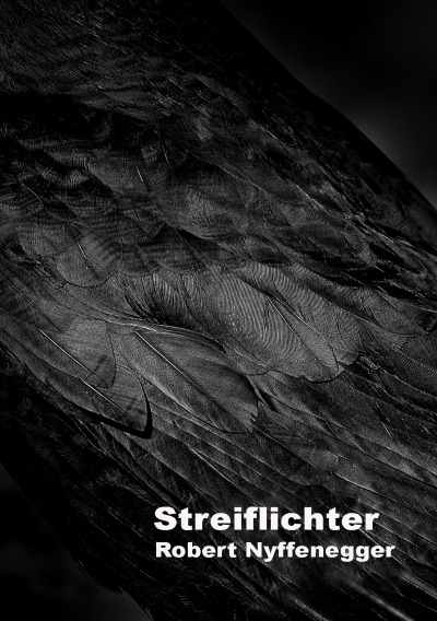 'Cover von Streiflichter'-Cover