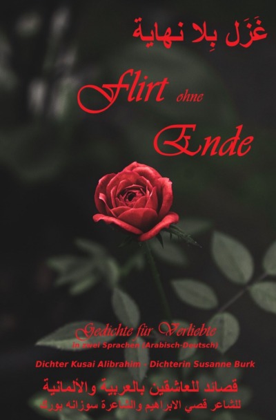 'Cover von Flirt ohne Ende'-Cover