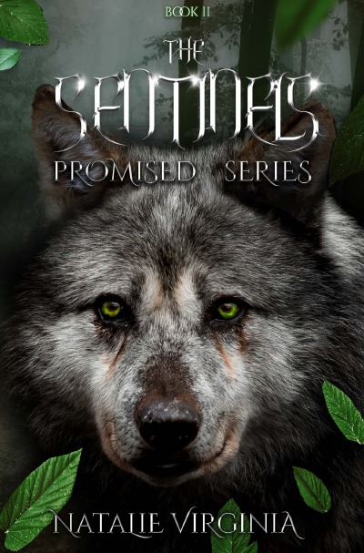 'Cover von The Sentinels'-Cover