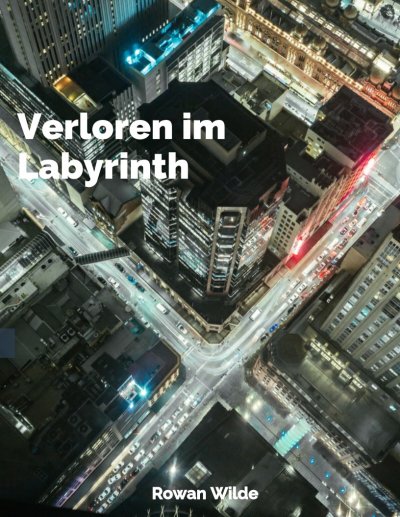 'Cover von Verloren im Labyrinth'-Cover