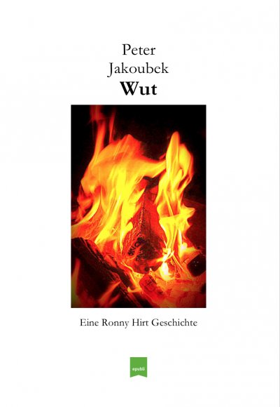 'Cover von Wut – Eine Ronny Hirt Geschichte'-Cover