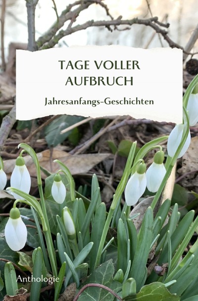 'Cover von TAGE VOLLER AUFBRUCH – Jahresanfangsgeschichten'-Cover