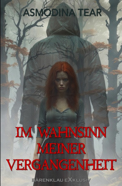 'Cover von Im Wahnsinn meiner Vergangenheit'-Cover