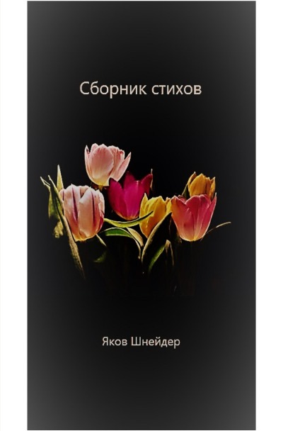 'Cover von Сборник стихов.'-Cover