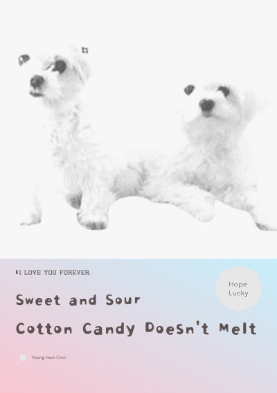 'Cover von Sweet and Sour  Cotton Candy Doesn’t Melt'-Cover