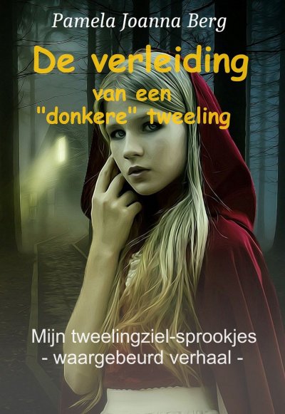 'Cover von De verleiding van een ‘donkere’ tweeling'-Cover