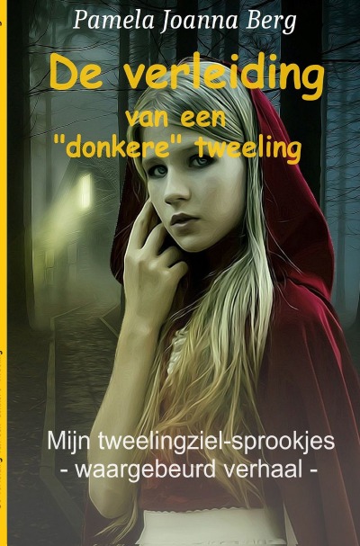 'Cover von De verleiding van een ‘donkere’ tweeling'-Cover