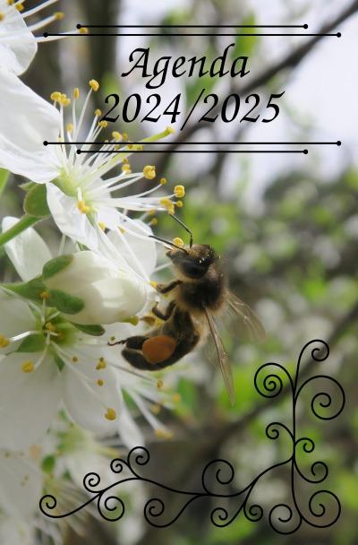 'Cover von Agenda 2024 / 2025'-Cover