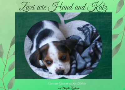 'Cover von Zwei wie Hund und Katz Garfield & Rocky'-Cover