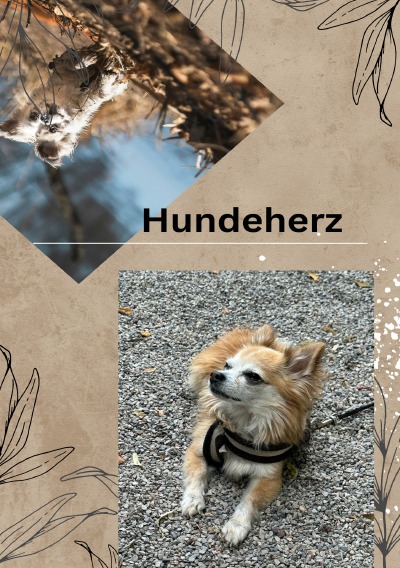 'Cover von Hundeherz- Ein inspirierender Guide für Wohlbefinden & Tierschutz von Hunden mit einer bewegenden Geschichte'-Cover