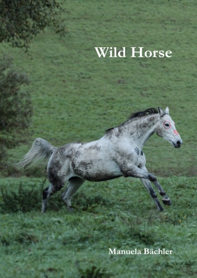 'Cover von Wild Horse'-Cover