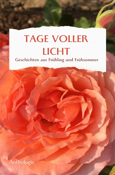 'Cover von TAGE VOLLER LICHT'-Cover