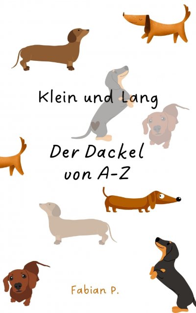 'Cover von Klein und Lang'-Cover