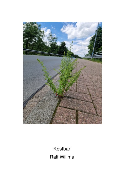 'Cover von Kostbar'-Cover