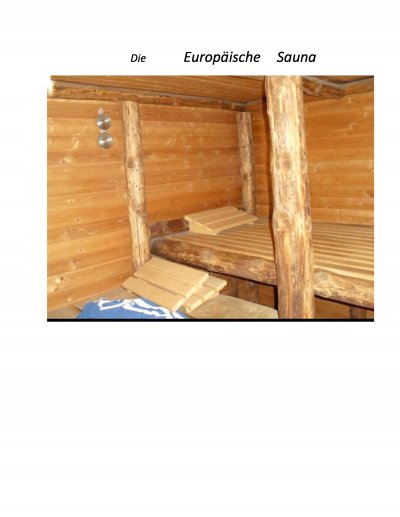 'Cover von Die Europäische Sauna'-Cover